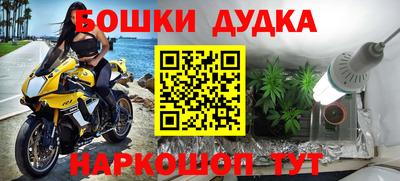 ГАЛЛЮЦИНОГЕННЫЕ ГРИБЫ Новодвинск