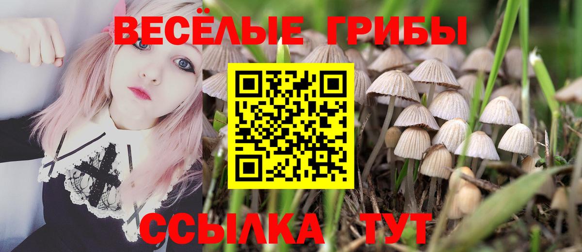 Чебоксары  Псилоцибиновые грибы ЛСД  дарнет шоп  Вход с VPN 